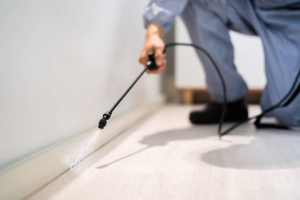 Licensed Fumigation Services service in Ridgeland, SC - Nex Pest Control