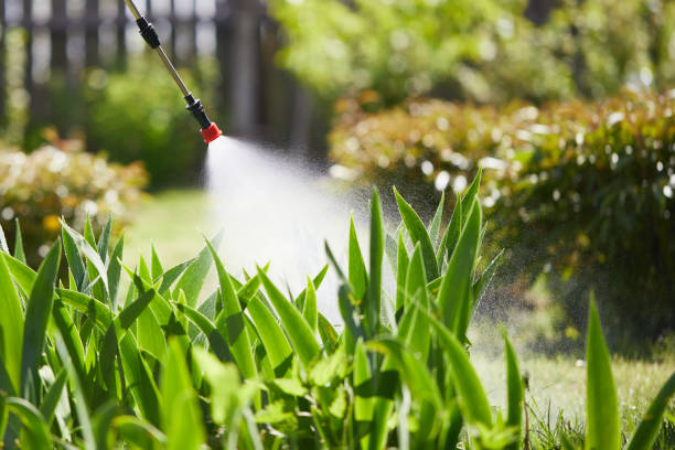 24/7 Emergency Fumigation Services experts in Ridgeland, SC