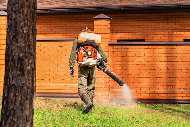 Trusted Cockroach Control service in Ridgeland, SC - Nex Pest Control
